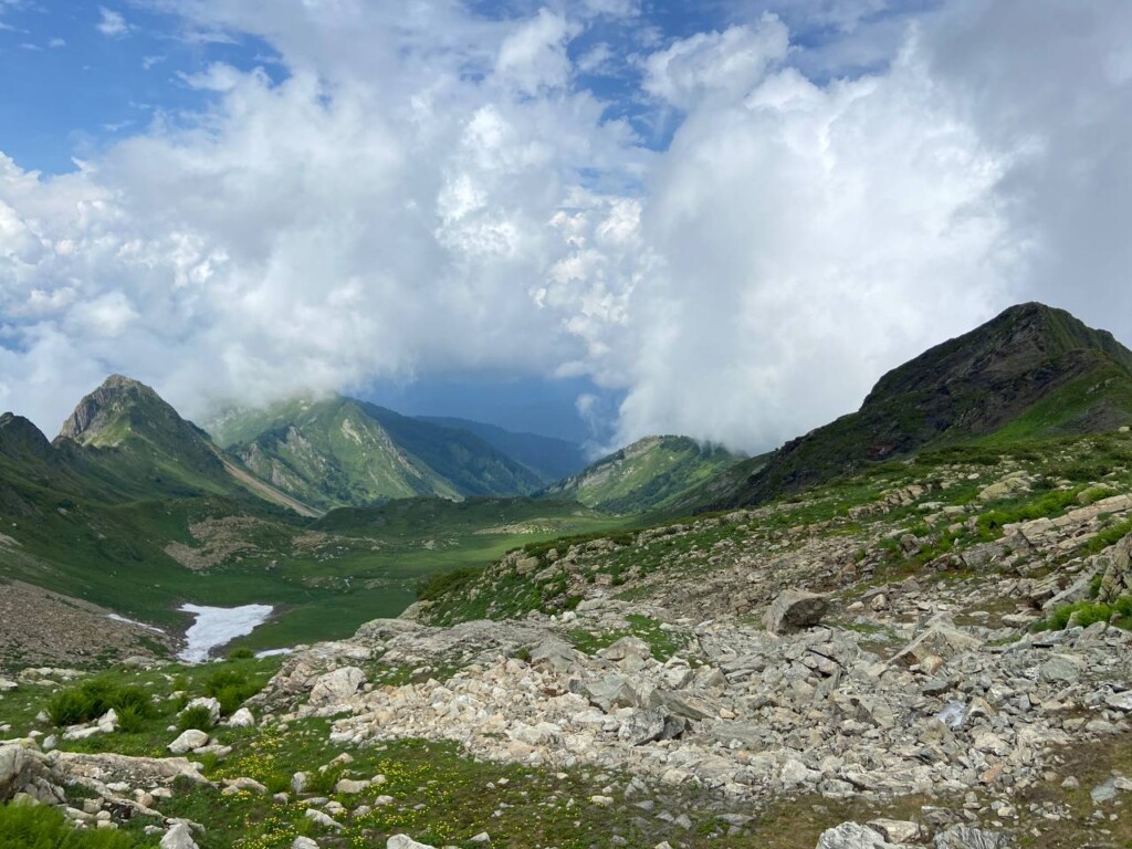 IMG_20230806_131009_542