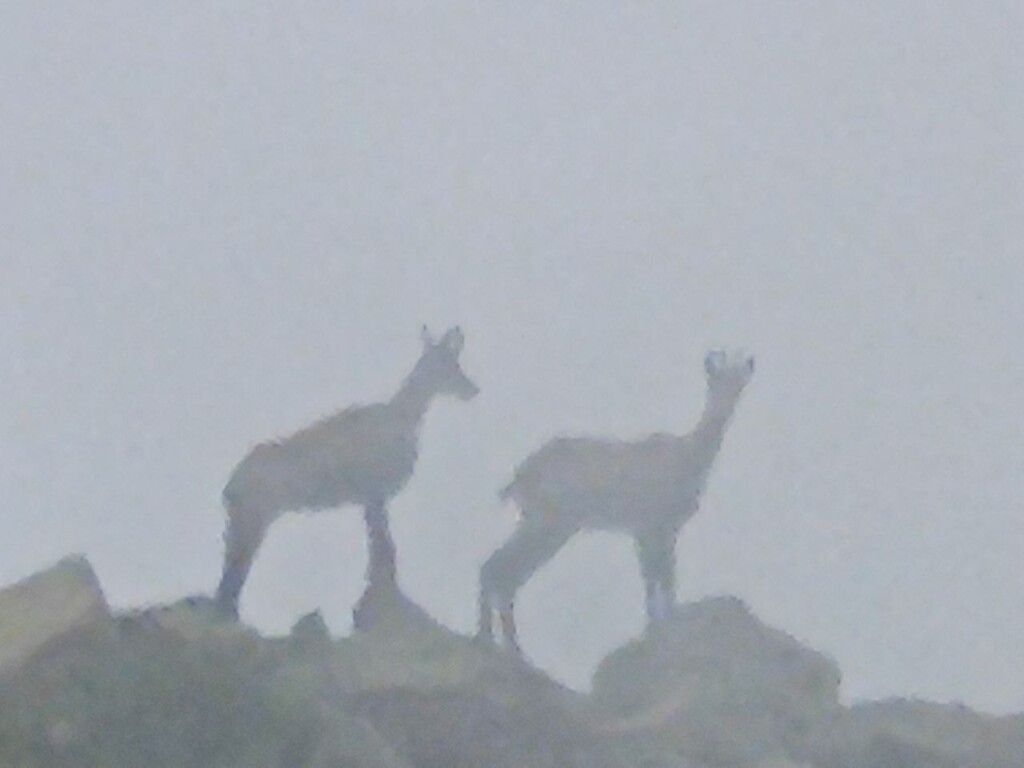 IMG_20230806_131159_247