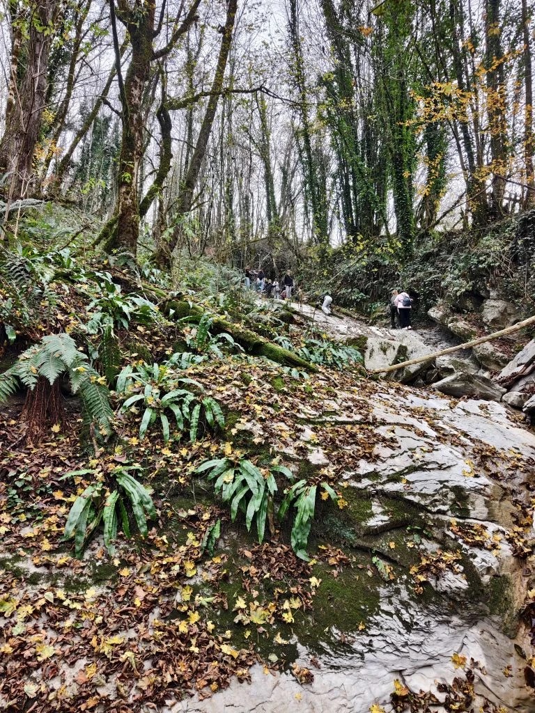 1e6a34d9-8e73-4f7a-b187-c440f0076515