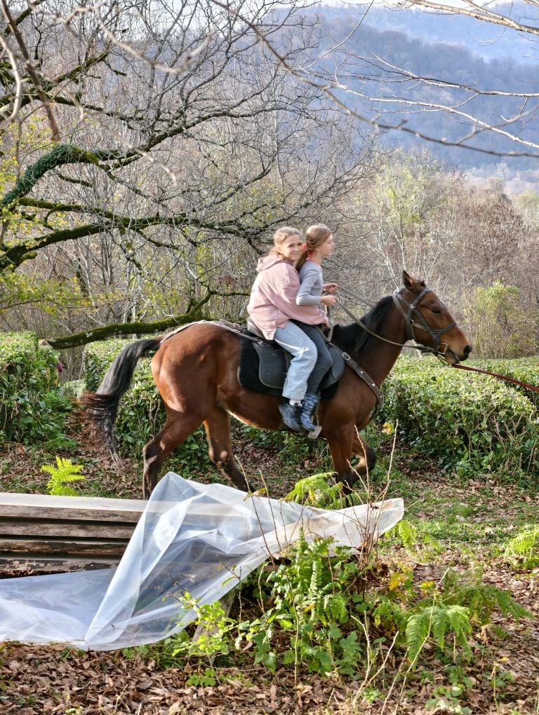 a4cf8d75-da08-4535-ad4f-cd3def737f5a